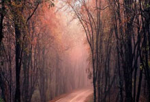 星空体育中国-TheShy焦点对战，巴特勒与40激战利物浦分钟，最后时刻胜出胜负难料！